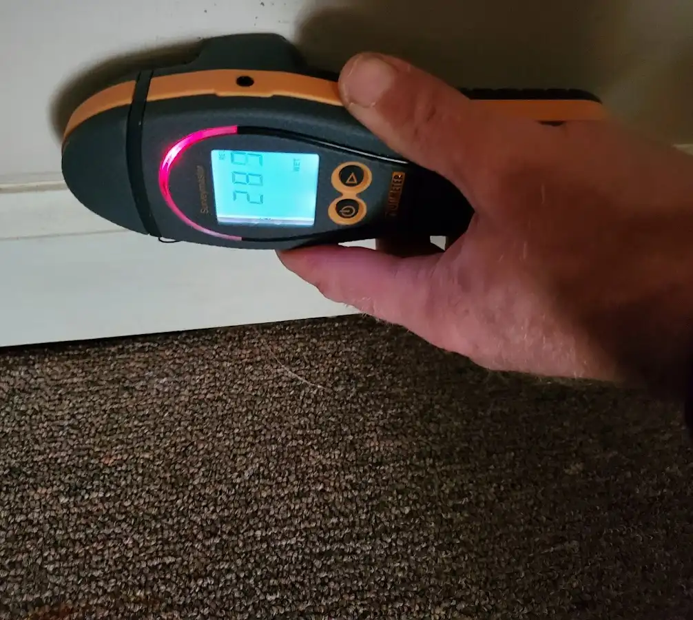 Moisture detection at baseboard during Mold Inspection & Testing in Burlington